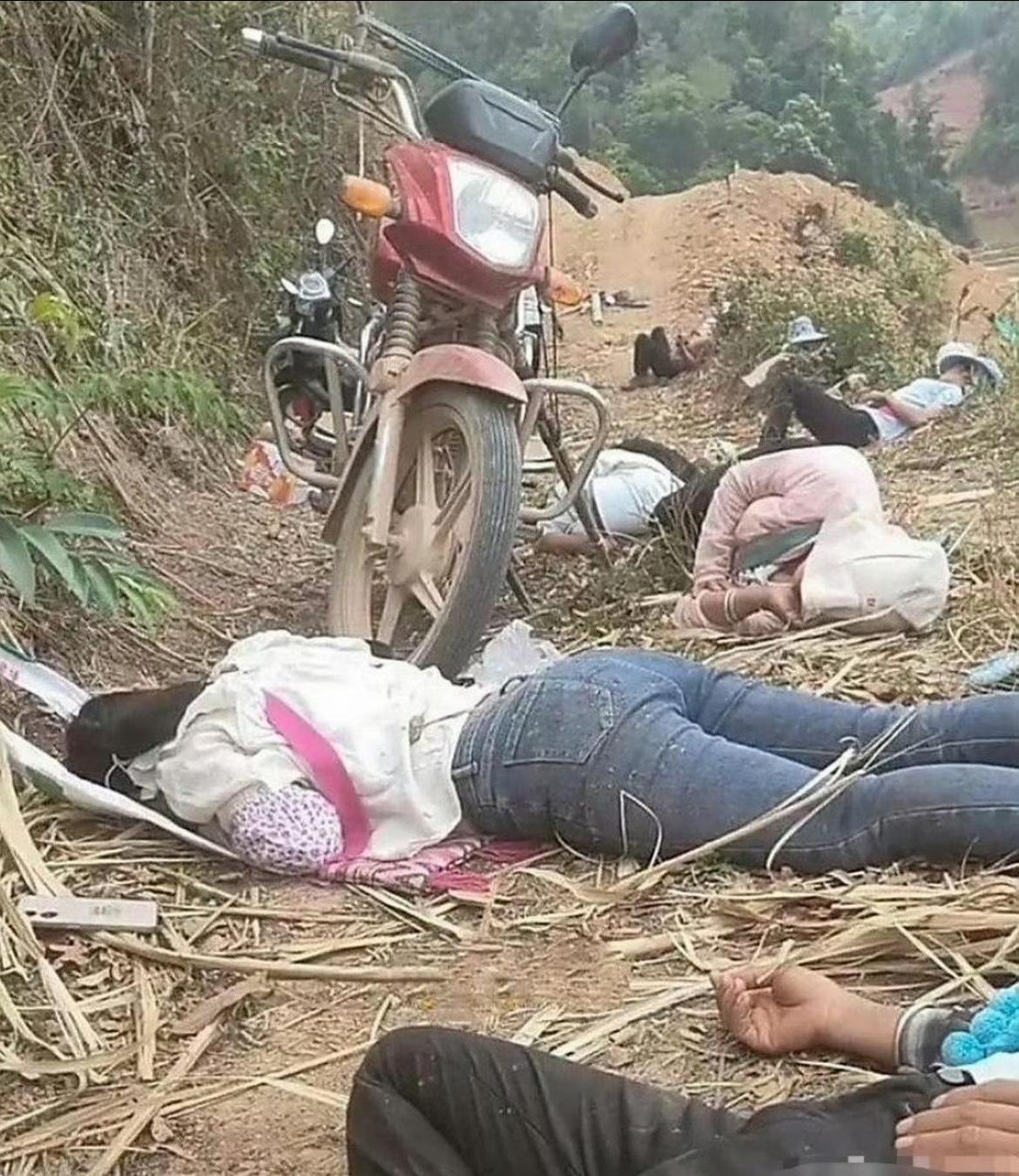 惊呆了，原来是在午休[捂脸哭][捂脸哭][捂脸哭]