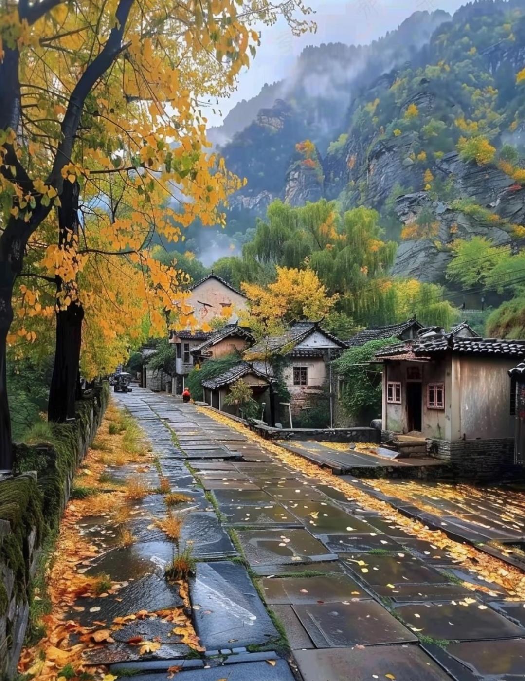 9月30号那天，我表哥没了——心梗，医生说就是心脏大面积梗死，到现在我都跟做梦一
