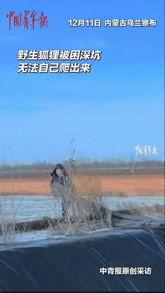 万物有灵！内蒙古乌兰察布，一男子出门突然听见一阵奇怪的叫声，一扭头看到了原本储水