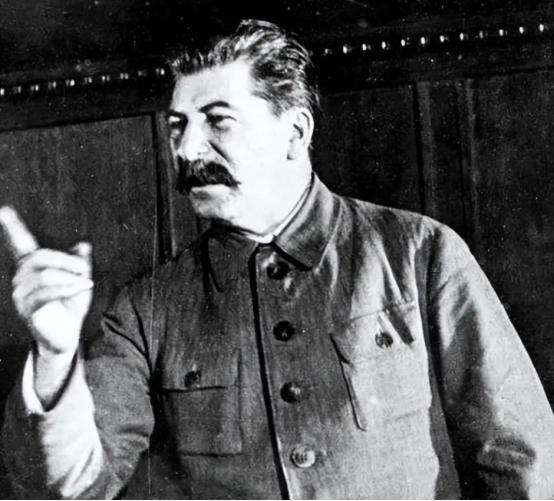 斯大林为啥会开启大肃反？很多人将其归因于斯大林“狂人症”，其实大肃反是长期政治熵