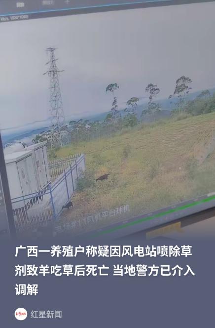 广西博白，养殖户放羊十余年，2026年5月23日发现羊圈少回26只、死2只，怀疑