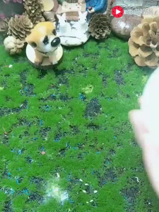 美女主播为何娇喘连连?脸红心跳大玩挑战!_土