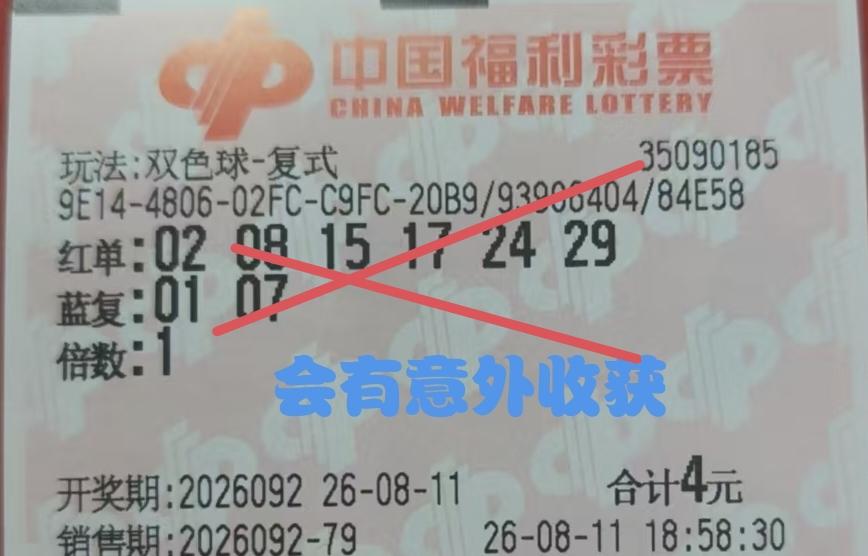 意外之喜虽然没有到来，但也没有意外惊吓，毕竟只花了区区四文钱。只能说这一注彩票