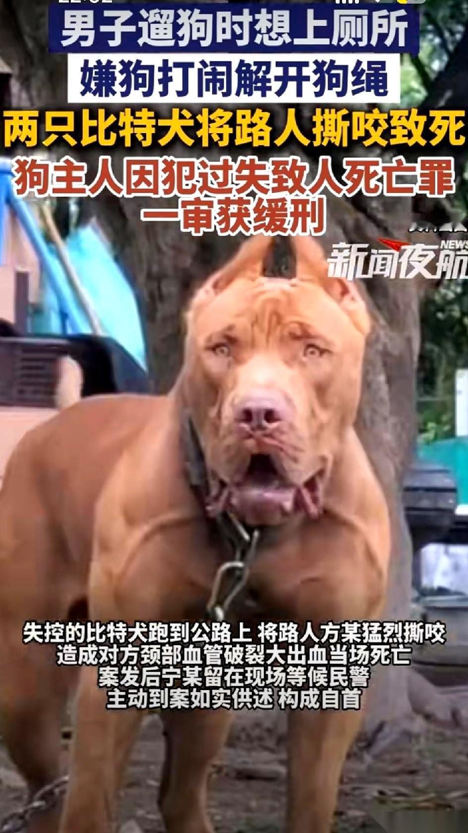 一只体型硕大的比特犬死死咬住路人方某的脖颈，另一只小犬正疯狂撕咬他的胳膊，方某倒