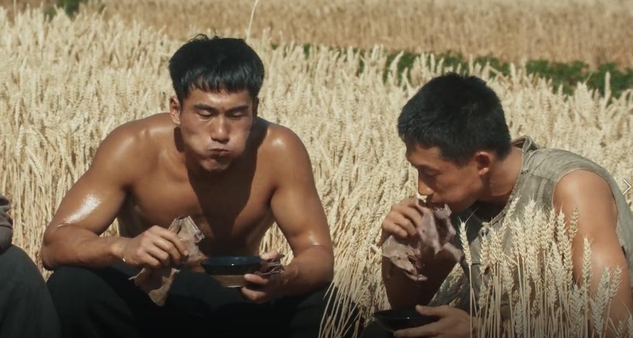 看了《生万物》，有一个奇怪的地方，不知大家发现没有？庄稼汉下地干活，收割麦子