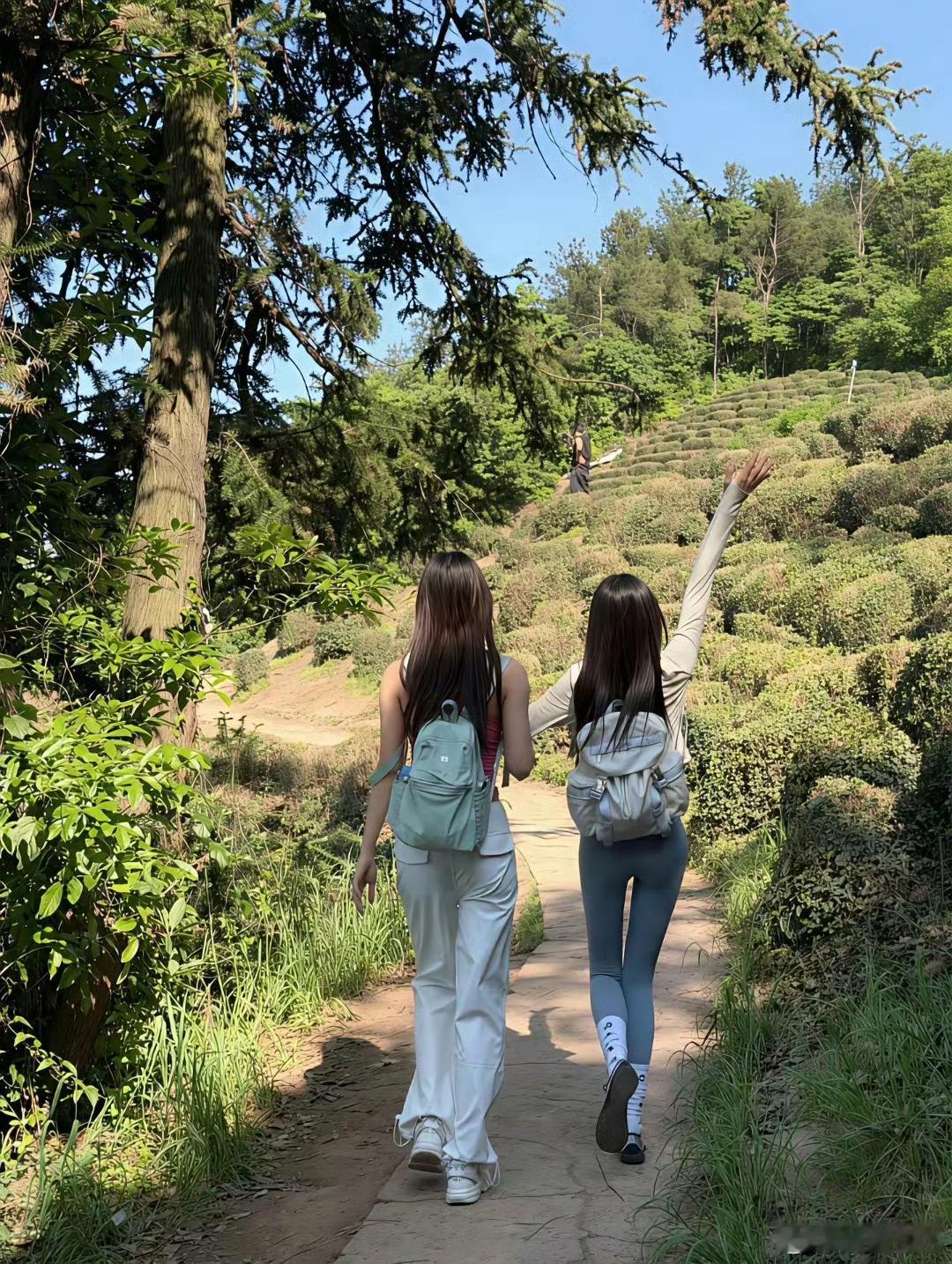 这就是你应该经常去爬山的原因