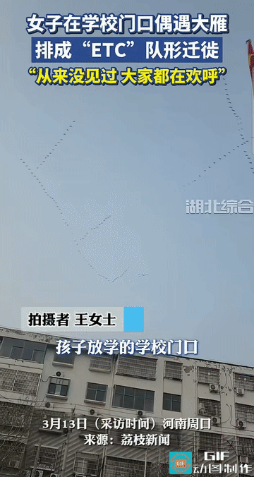 “太惊奇了——自然界奇观！”河南周口，一学校门口，正值放学高峰期。和往常一样，家