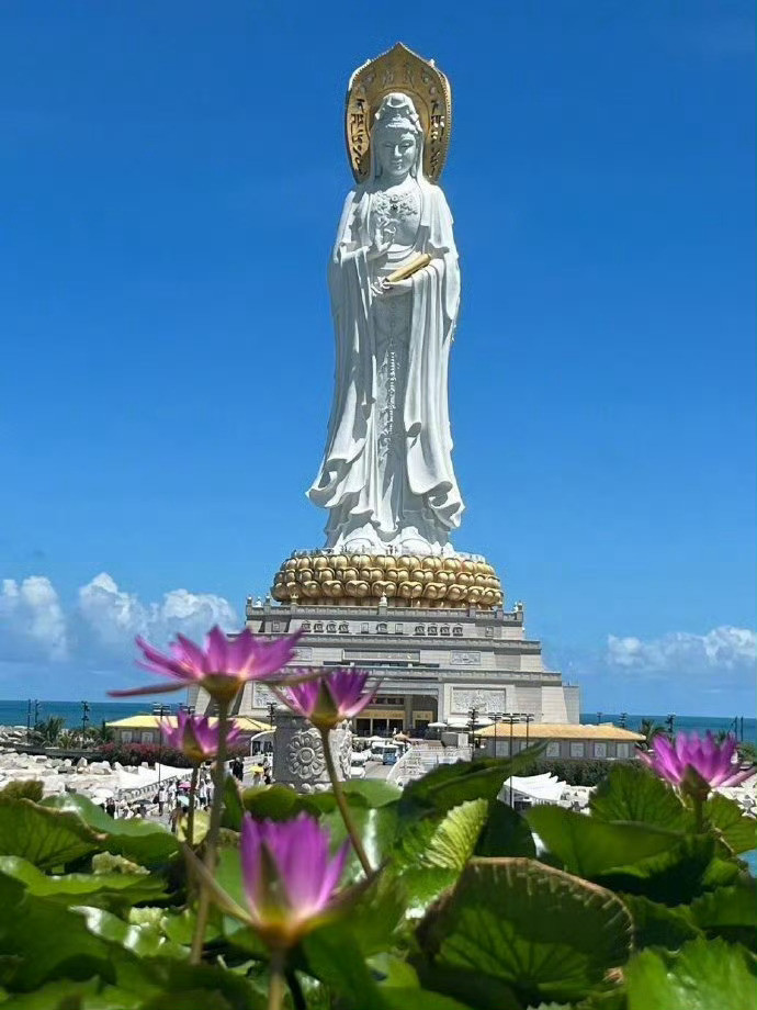 刷到南海观音请不要无视真的很灵~