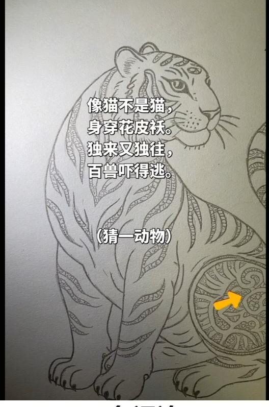 〔看图猜谜语〕像猫不是猫；身穿花皮袄；独来又独往；百兽吓得逃；头上有王