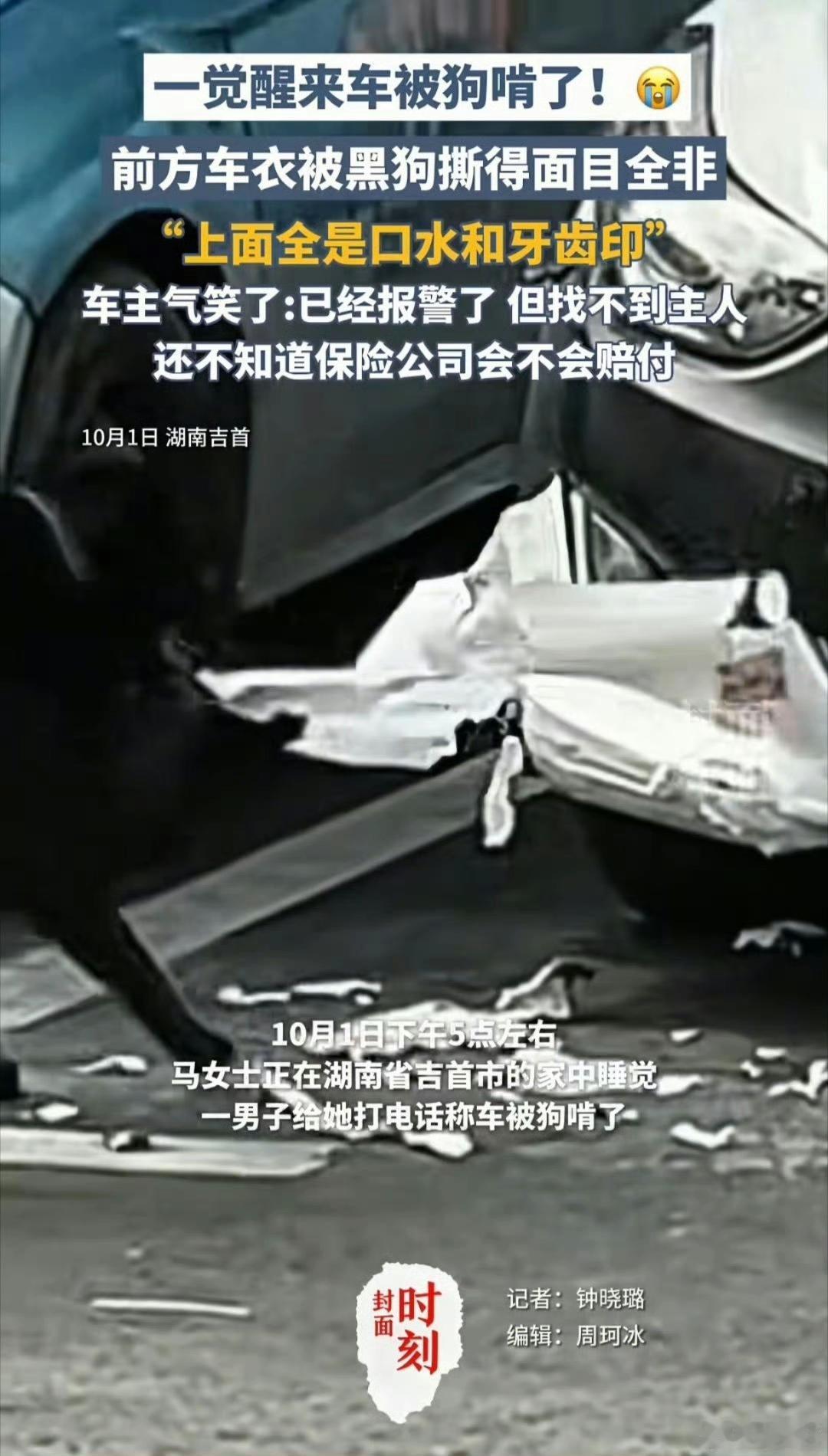 陌生来电说车被狗啃？湖南女子狂奔救援，结局却暖到刷屏！10月1日下午5时许