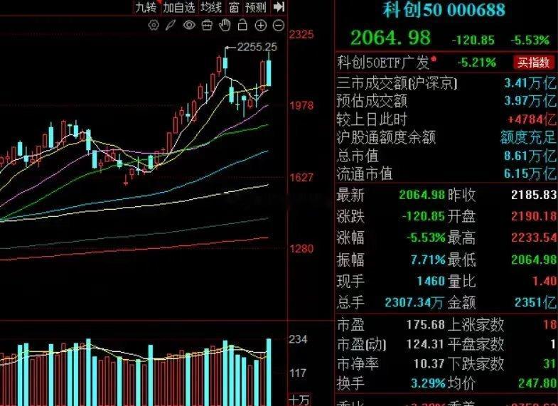 头部科技股为何集体出现巨额成交？7月10日，A股上演了一场科技股的集体大退潮。科
