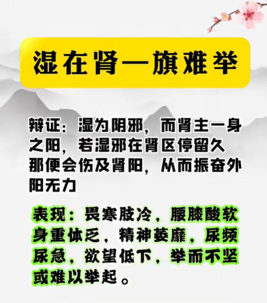 身体沉重、精力不足，如何分辨是脾湿还是肾湿？