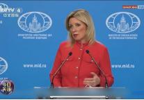 针若是中日开战，俄罗斯会不会出兵的问题，俄罗斯外交发言人给出了答案。在11月18