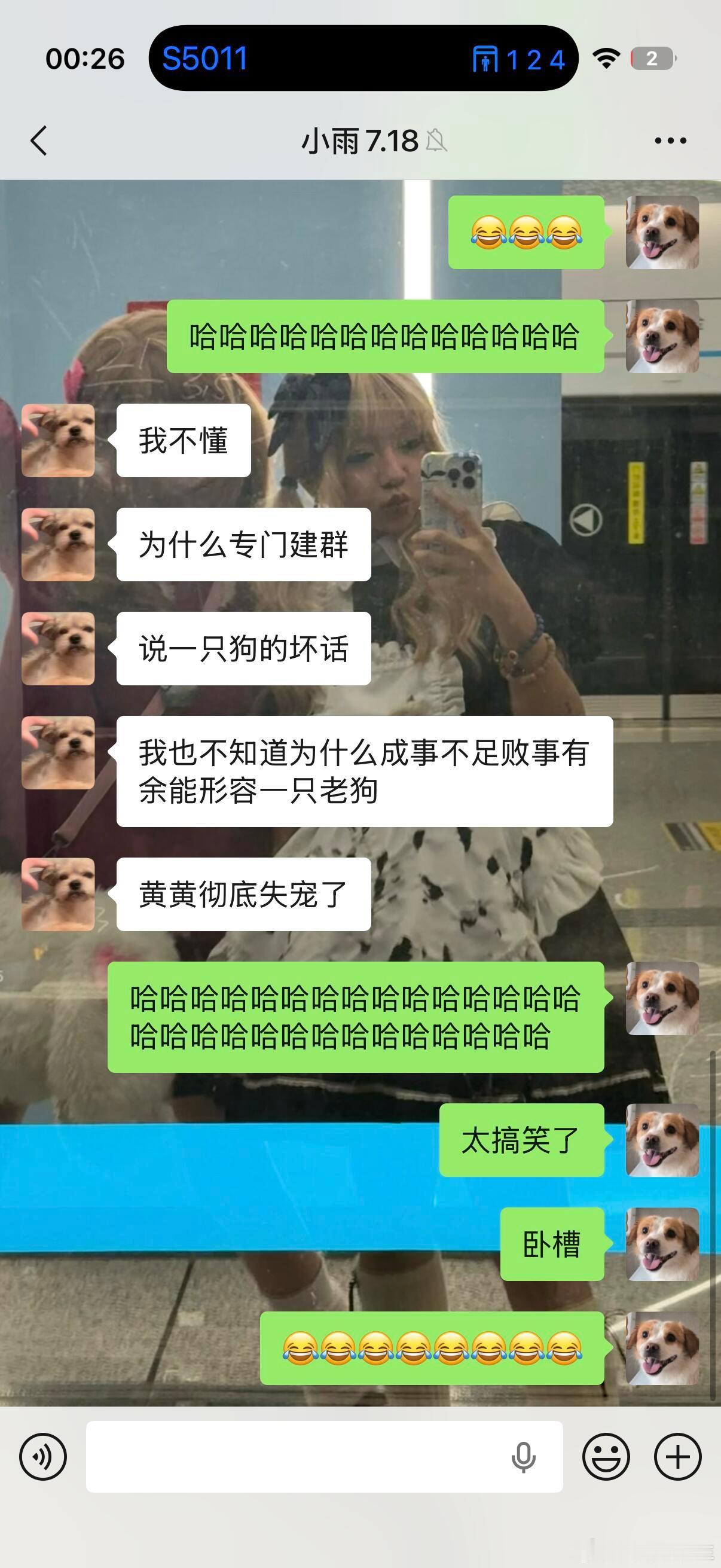 爸爸专门建了个群蛐蛐我家狗