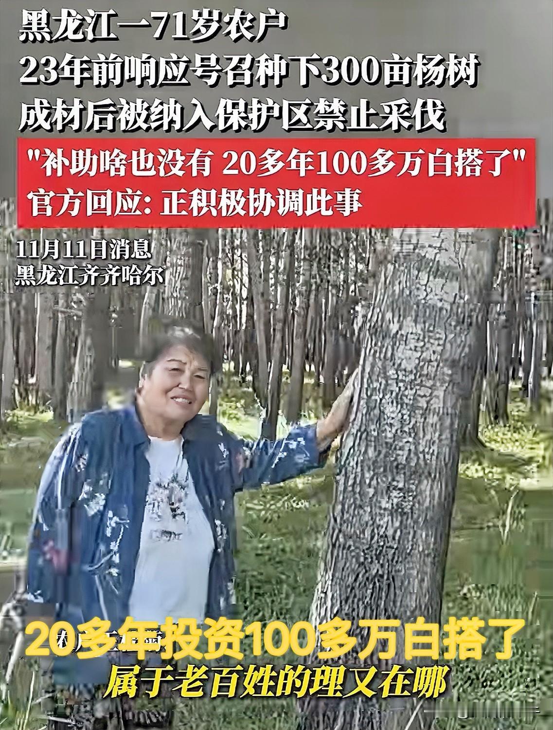 300亩杨树说收就收了，这不白养活20多年吗，老百姓是既高兴又心酸。高兴