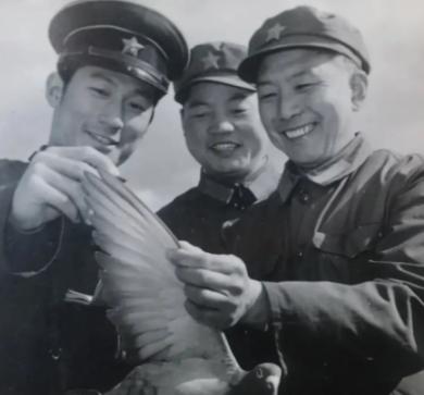 1967年6月17日，我国第一颗氢弹在罗布泊爆炸后，放飞了50只军鸽。而它们穿越