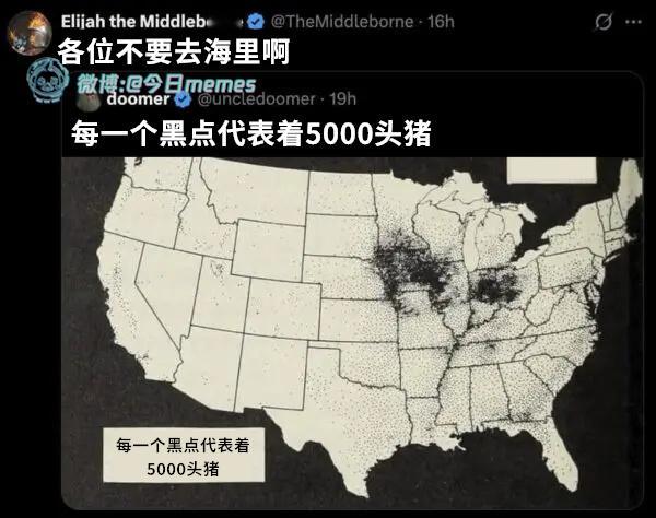 肉池（TheMiddleborne）今日meme今日memes​​​