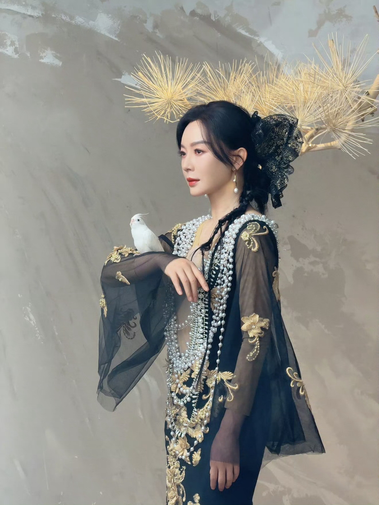 陈数迎春生长力大片拍摄花絮照