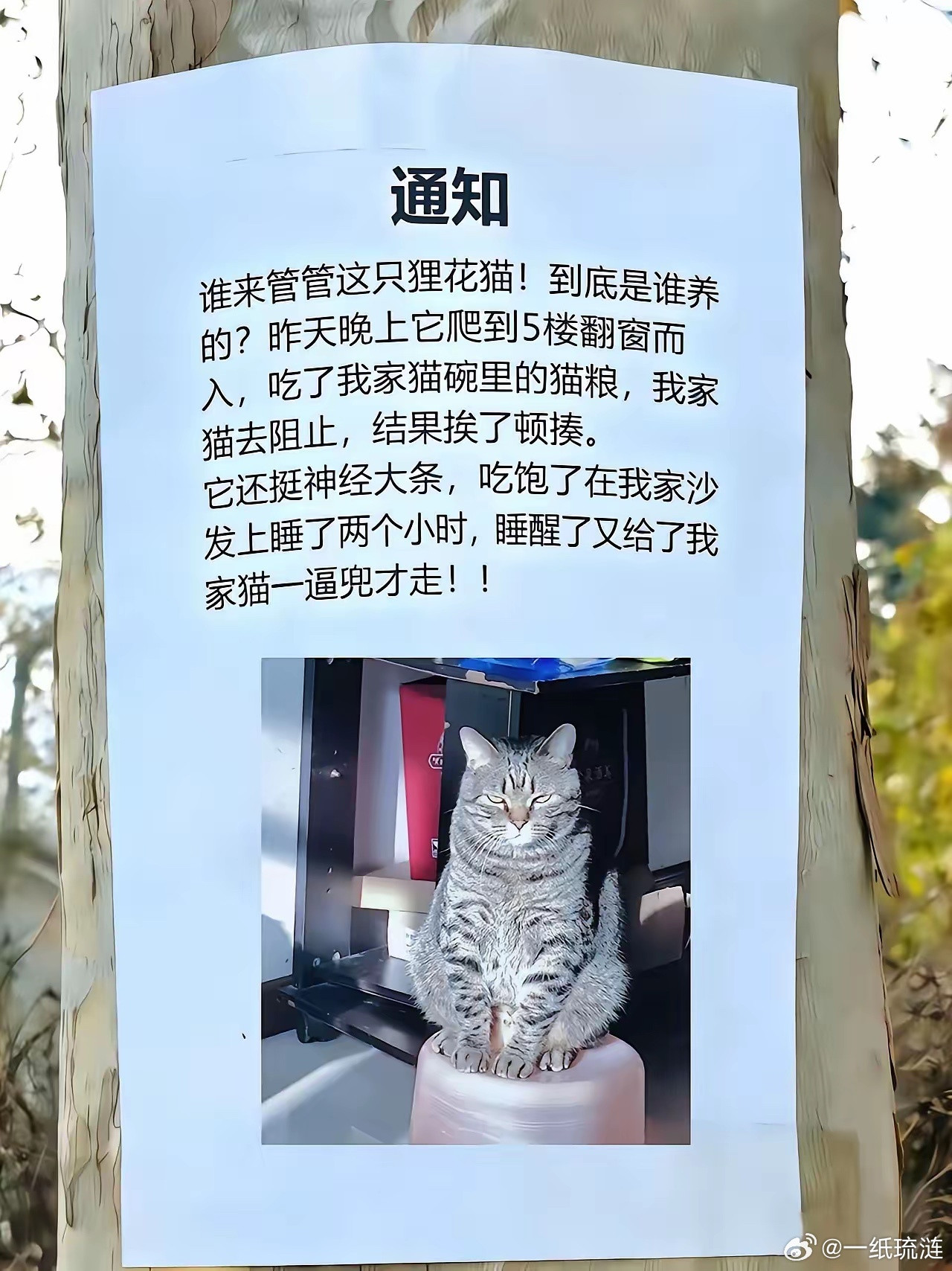 从这张告示的内容和照片来看，被它伤害的这家人已经气愤到了极点，要不然也不会这么煞