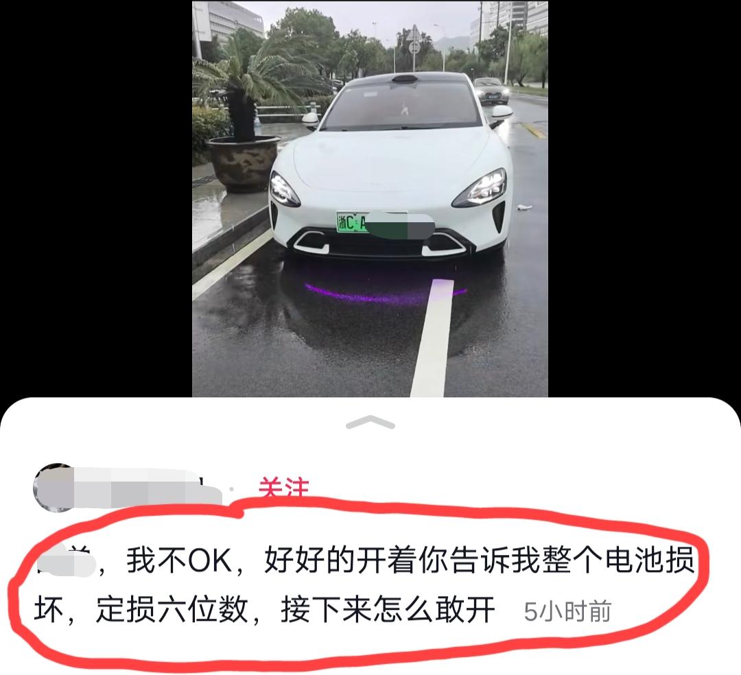 浙江温州，某米车主发视频吐槽:xx总，好好的开着，你告诉我整个电池损坏了，定损要