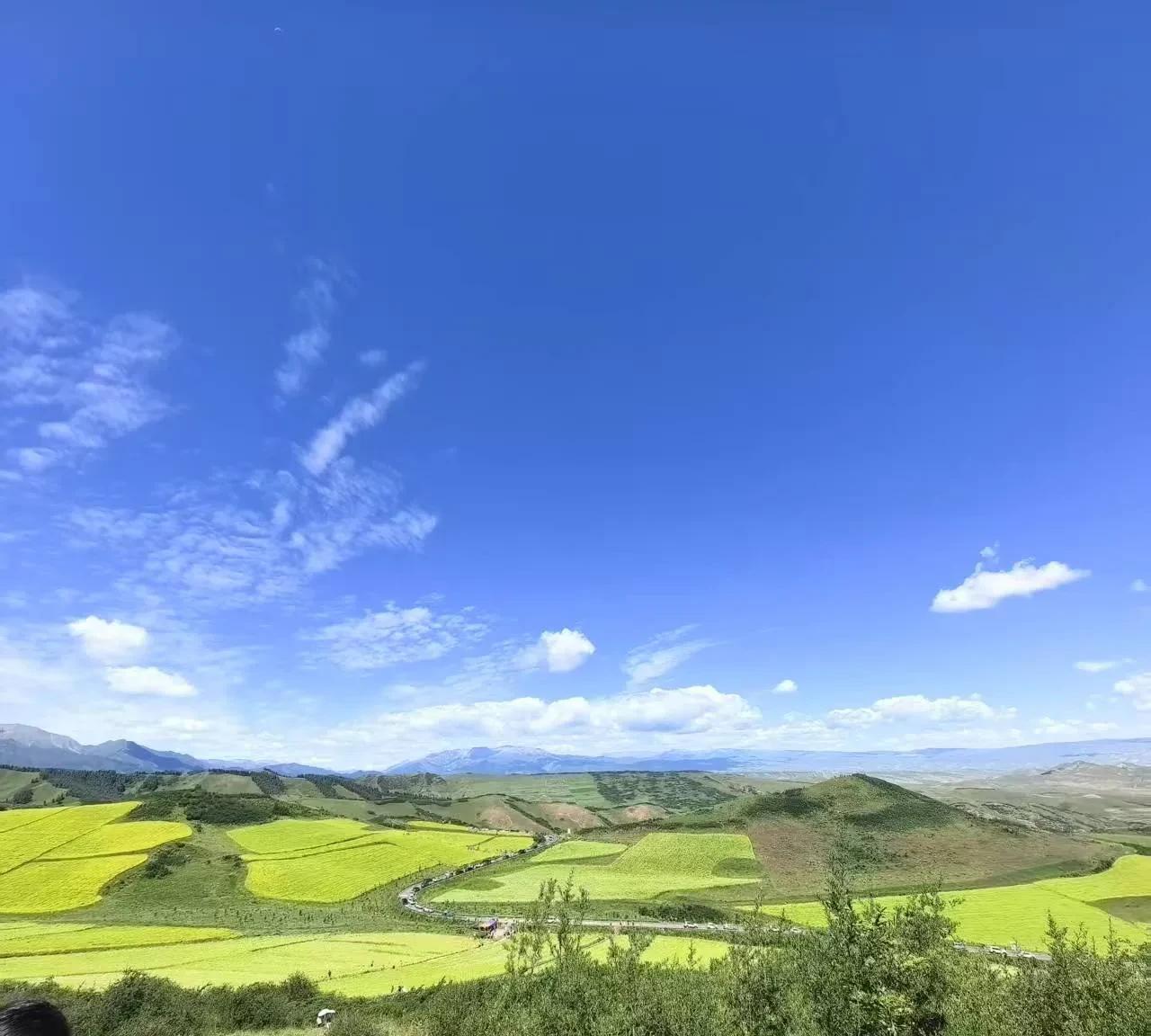 青青夏季感受田园风光，其实不论在哪一个城市或者乡村，都有自然风光，今天就在我的家