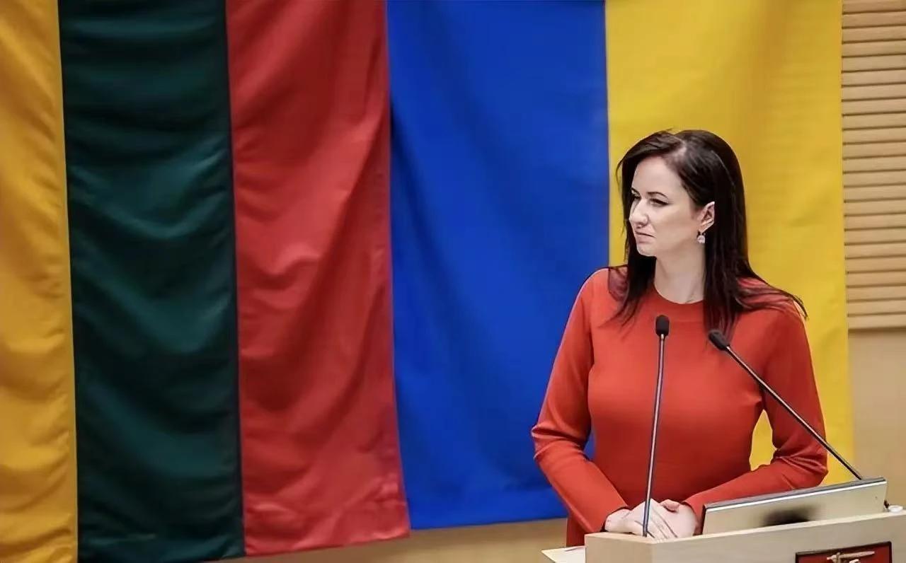 立陶宛总理称要改成“台北代表处”后，有一人公开叫板，不简单日前，基于多个国