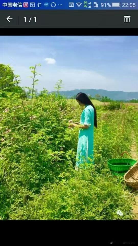 女老师戊临酉戍是老师，己临巳酉当郎中。女命：辛亥丁酉戊戍辛酉。戊临酉