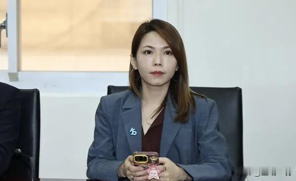 民众党提3公投被蓝丢包2案　陈智菡：没足够实力终究会被铲平台立法机构今天（1