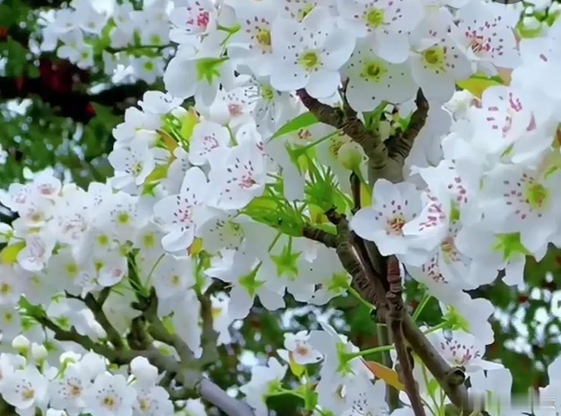 看出这个城市排序方式的问题没有？这个人口最多的市是“市”吗？这个人口数是总人口，