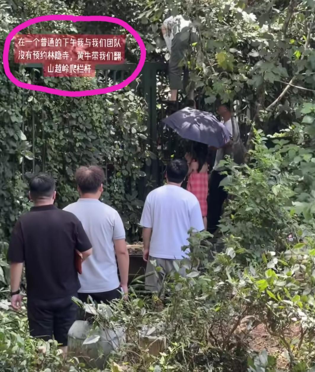 杭州，网友发视频并配文:在一个普通的下午，我与我们的团队没有预约到灵隐寺，黄牛带