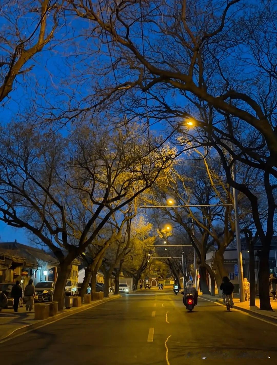 奉劝大家，最近这几天千万别出门！不是因为甲流横行，而是因为1月8日就正式进“三九