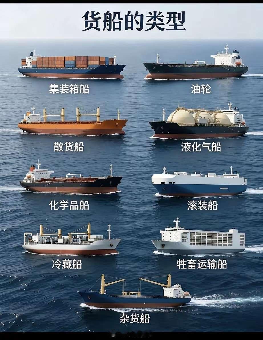 才知道还有一种叫牲畜船