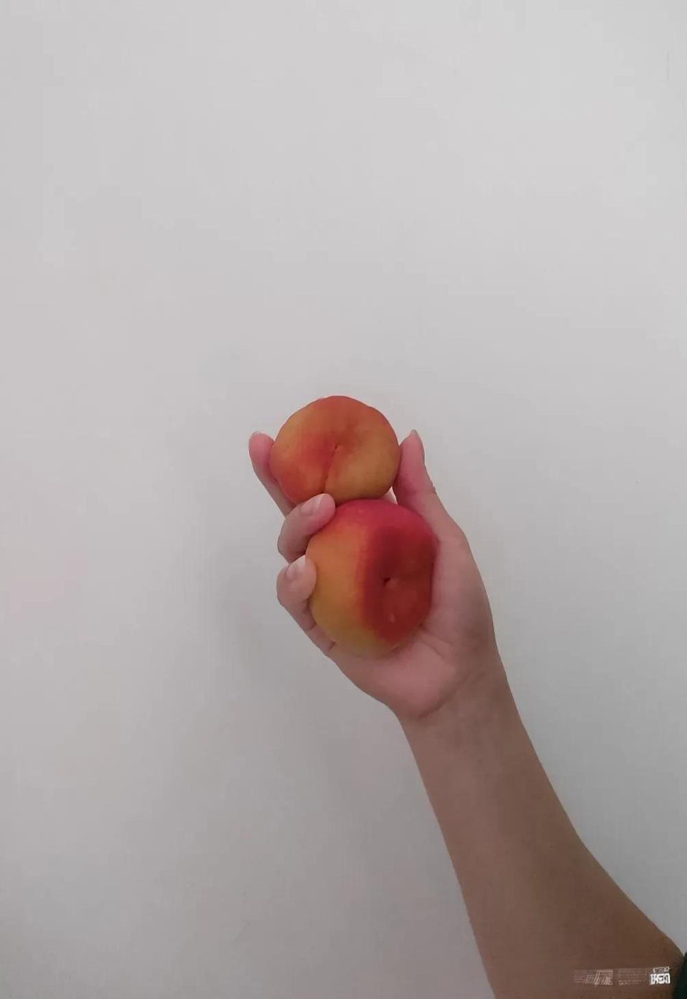 吃过午饭后，我洗了几个桃子，给两个孩子一人拿了一个。我女儿看到这种桃子后说