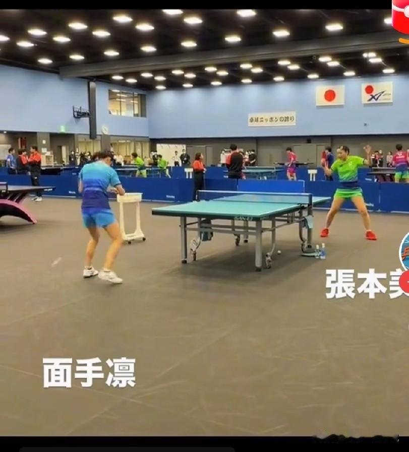 我都气笑了！张本美和、张本智和两兄妹都训练上了，咱国乒的还在解决邮轮宿舍漏水的还