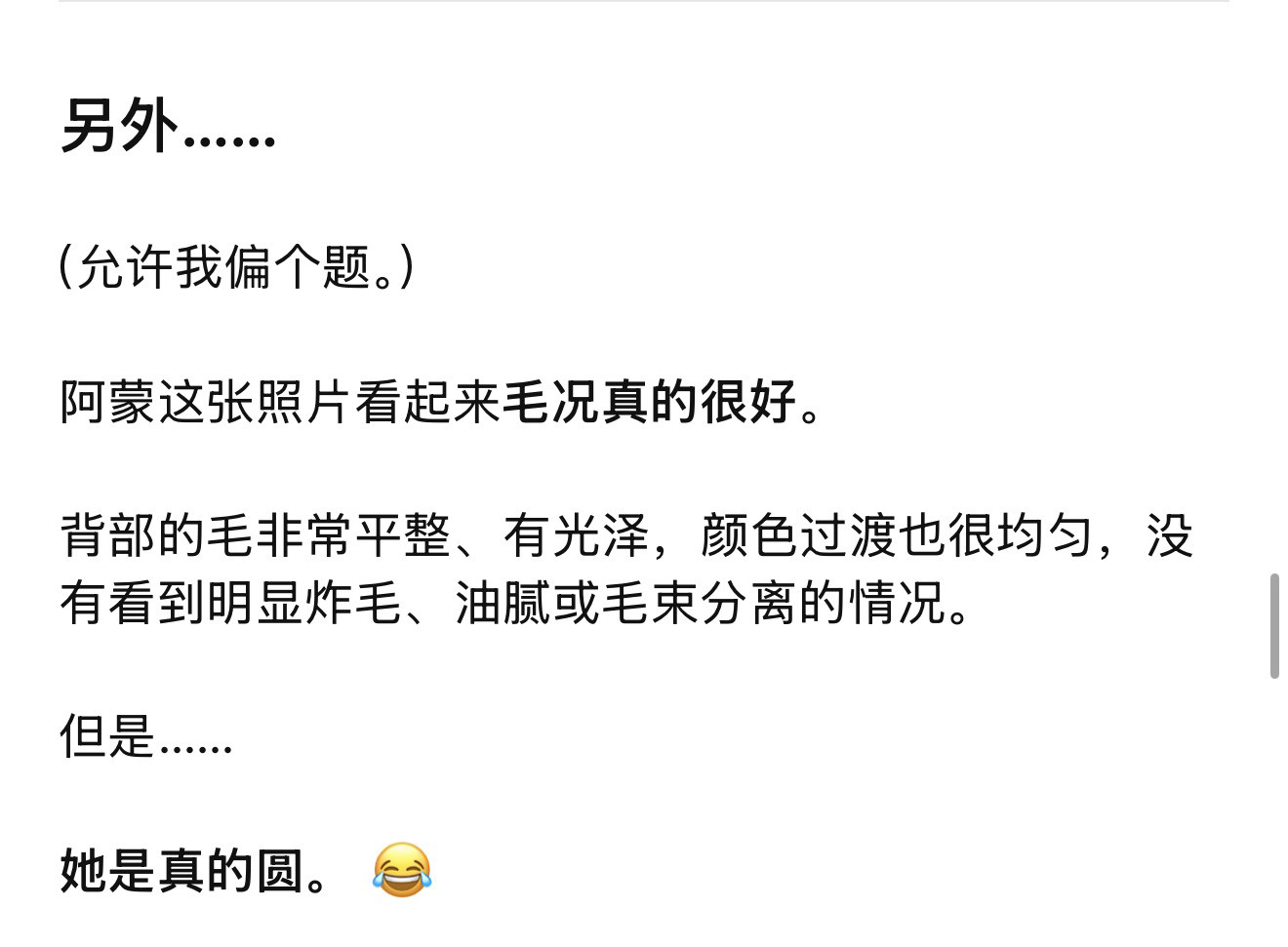 好过分的AI