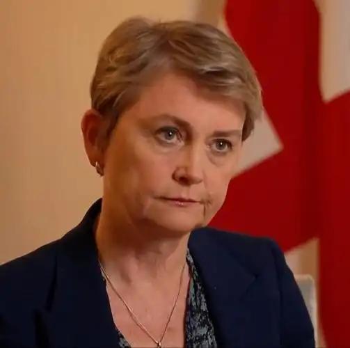 就在刚刚，英国外交部发布声明称，2月9日，针对“港独分子”黎智英获刑20