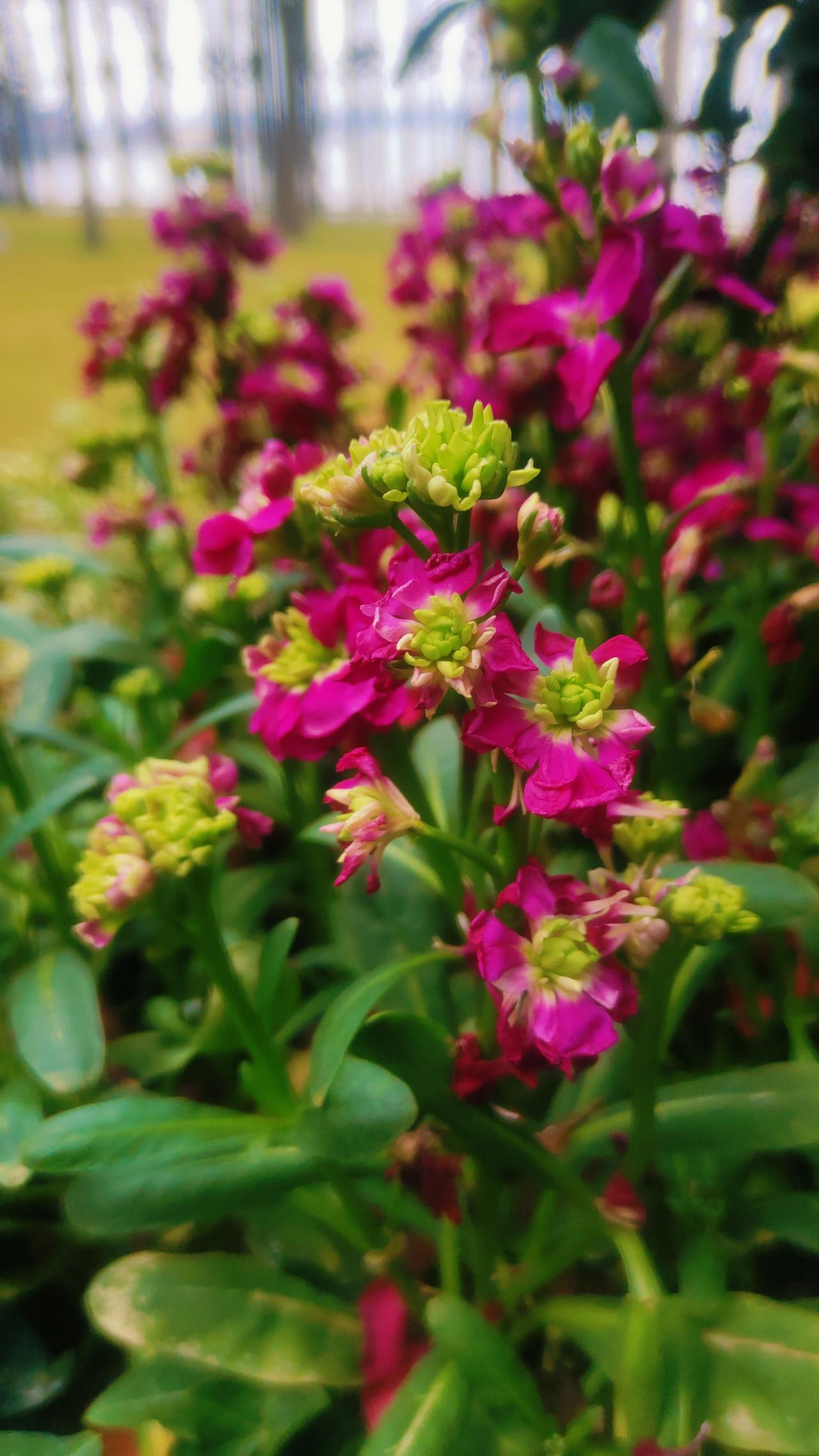 更年期渡劫，什么时候结束？从13岁第一次来月经开始，我觉得它对我的身心都是折