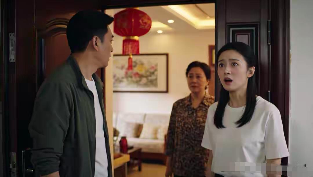 妹夫拖着行李箱住进我家那天，我把丈夫的遗像扣了过来。不是因为心虚。是那几年我