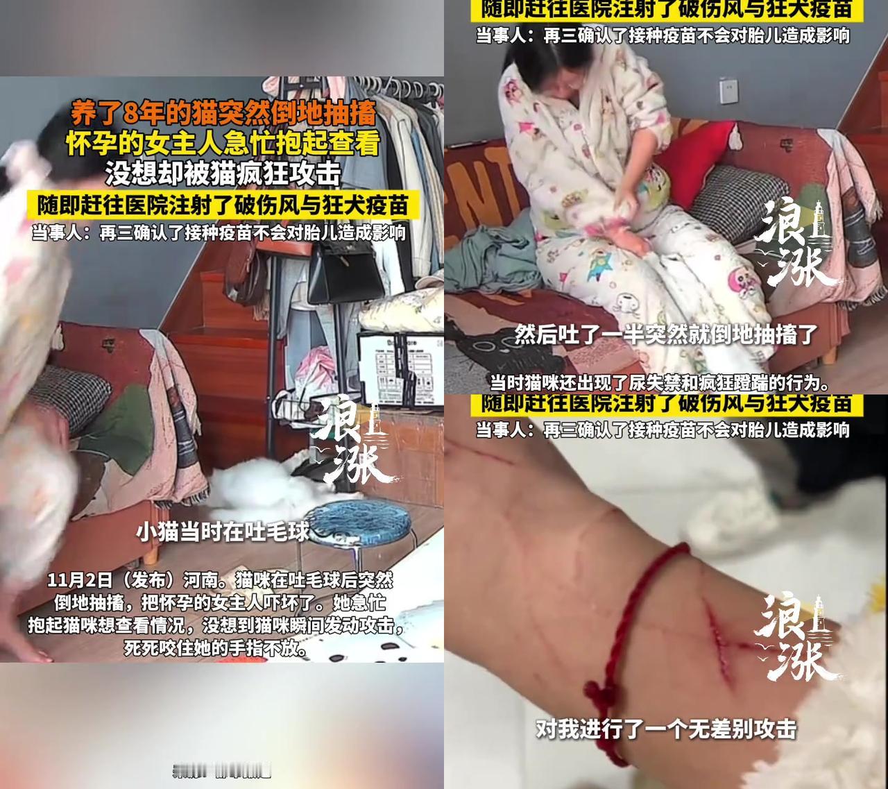 养宠人的本能，真的刻进骨头里了！养了8年的猫突然倒地抽搐，怀孕5个月的她