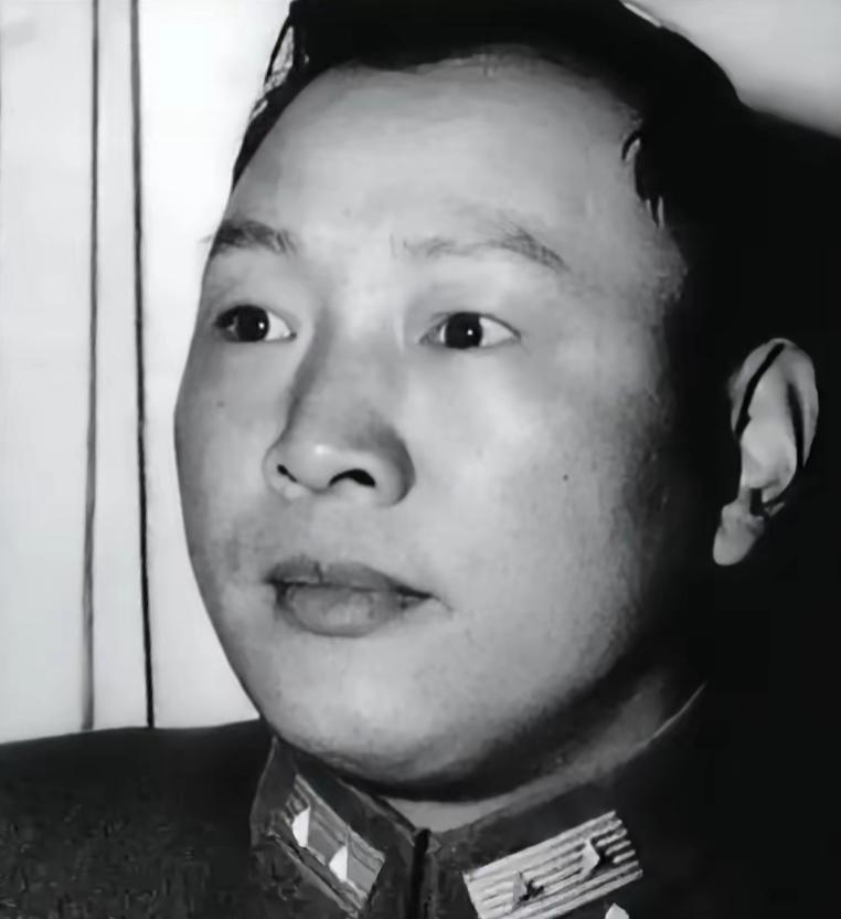 1959年，宋希濂获特赦走出功德林，口袋里一分钱没有，举目无亲。昔日黄埔同窗陈赓