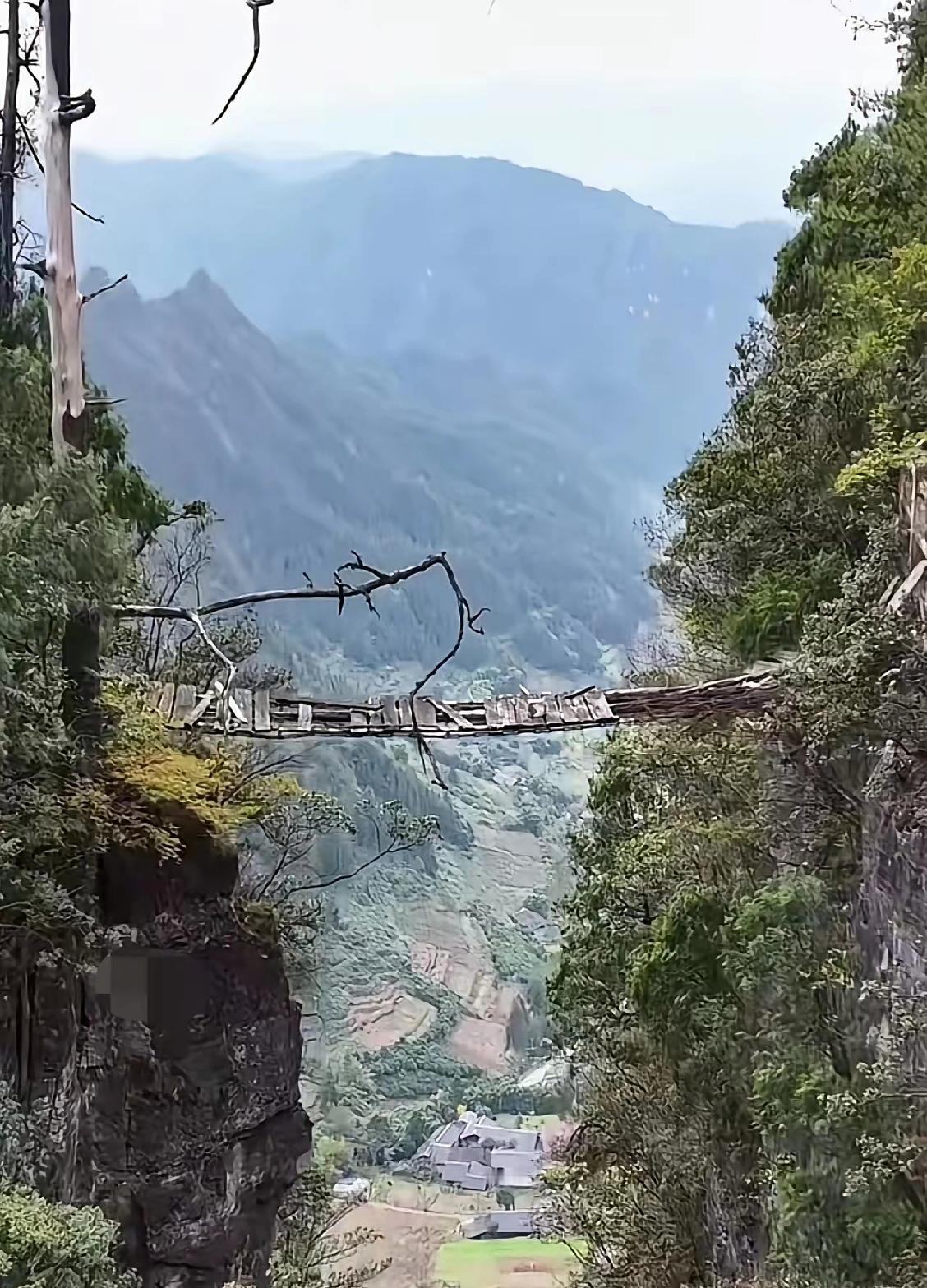 有网友操控一架无人机深入贵州深山，意外发现一座隐匿于悬崖峭壁间的古木桥。桥身已