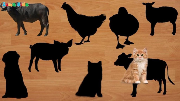 创意早教拼图游戏: 一起找找小狗小猫的影子在哪里