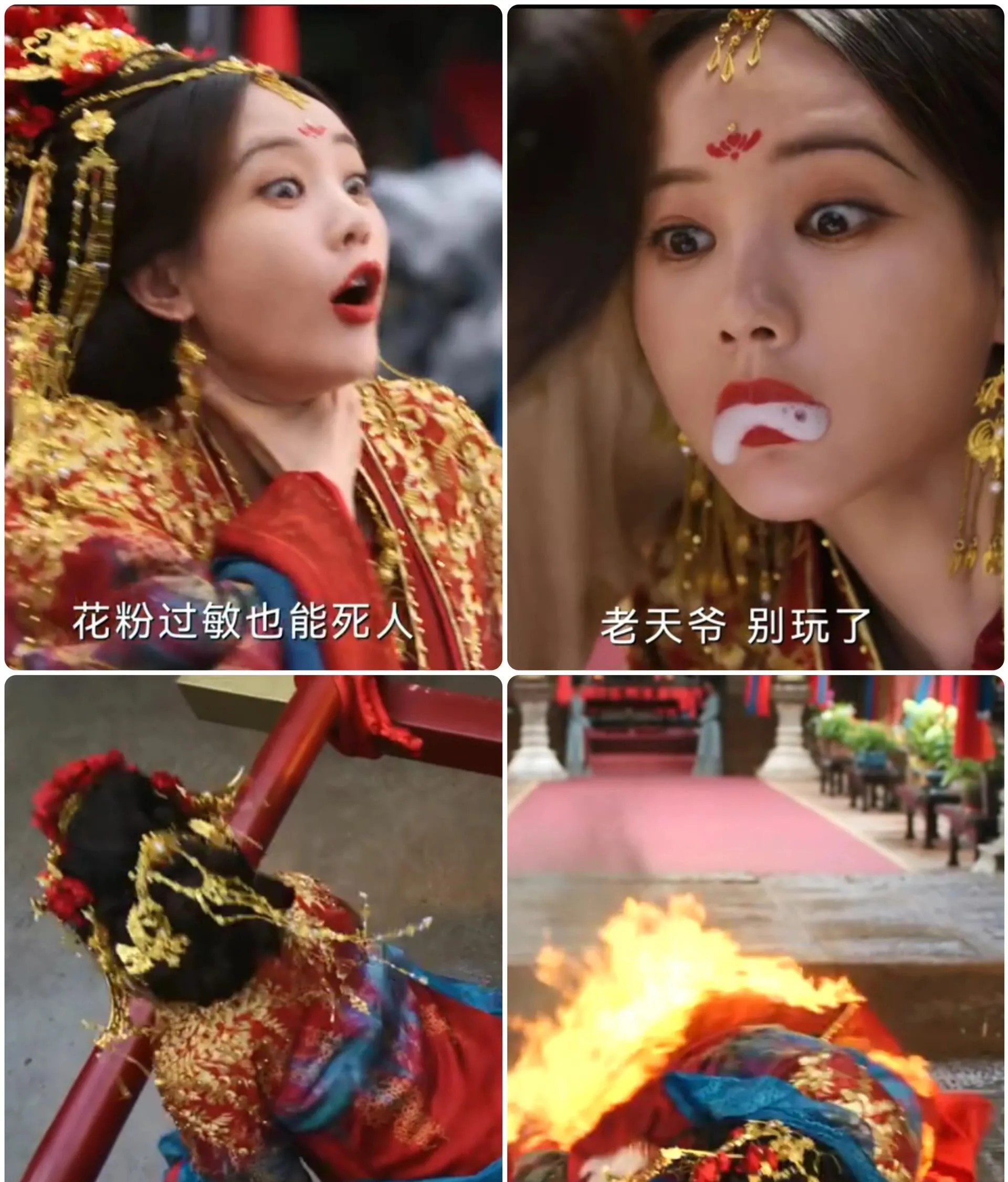 江苏卫视现在一定在偷着乐吧原本紧急撤下了《长安的荔枝》，改由《书卷一梦》接档，