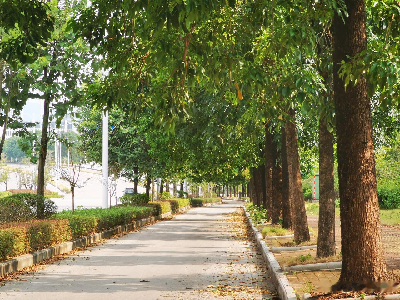 路上风景随拍