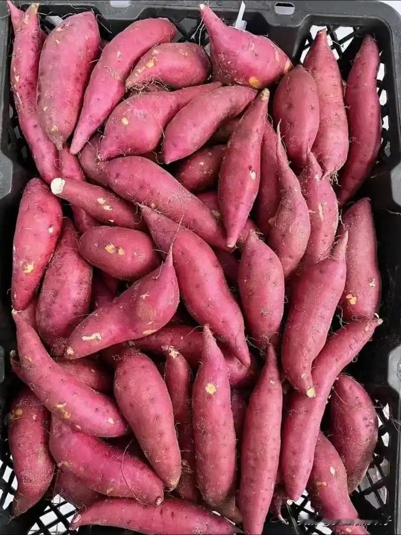 可以部分替换白米饭！红薯升糖指数中等，比白米饭、白面条低，但淀粉含量高，吃多