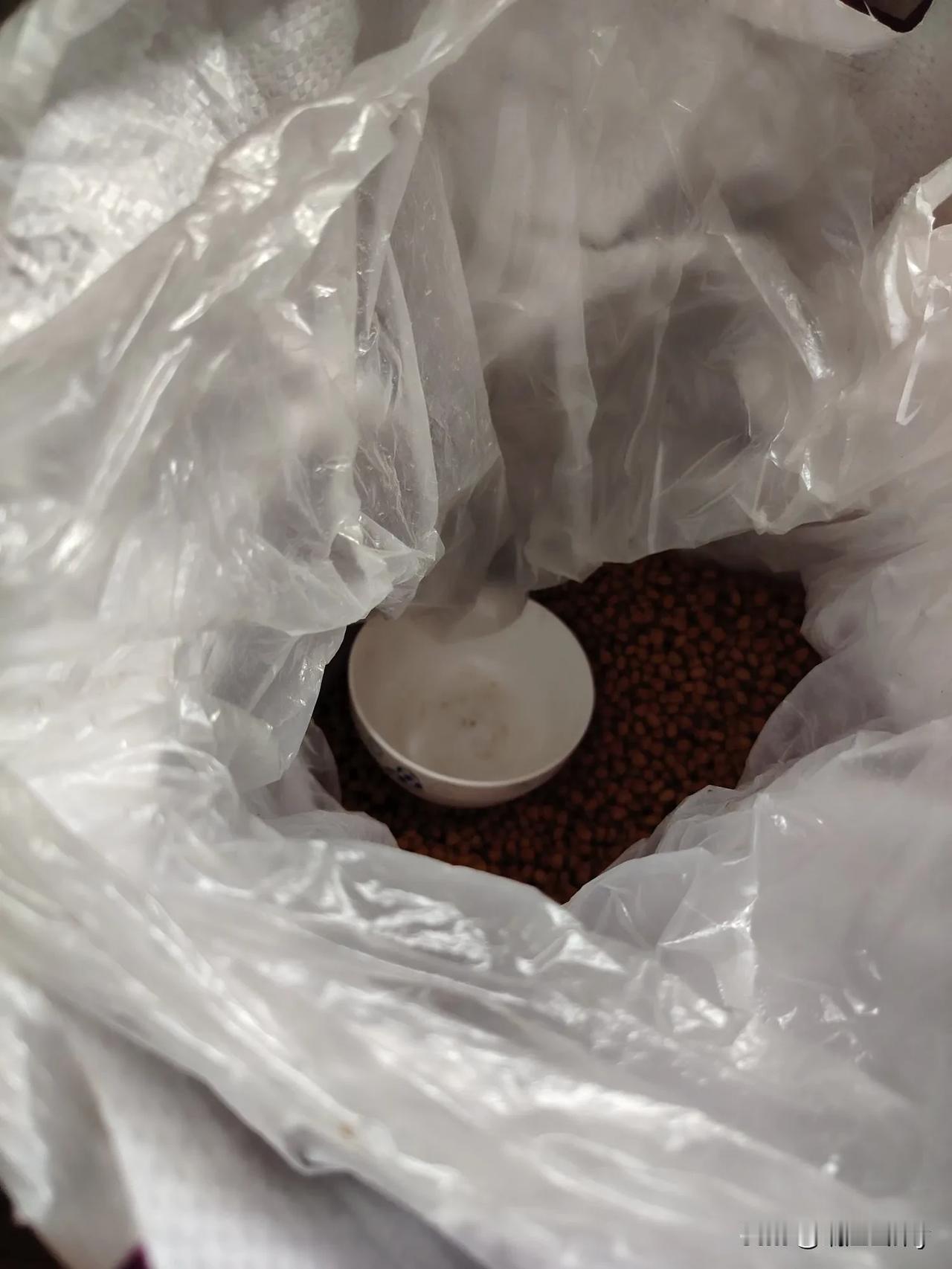 家里三条大狗，老水是别人给的一条两岁多的公狗，火豹是从安徽亳州800块钱买回来的