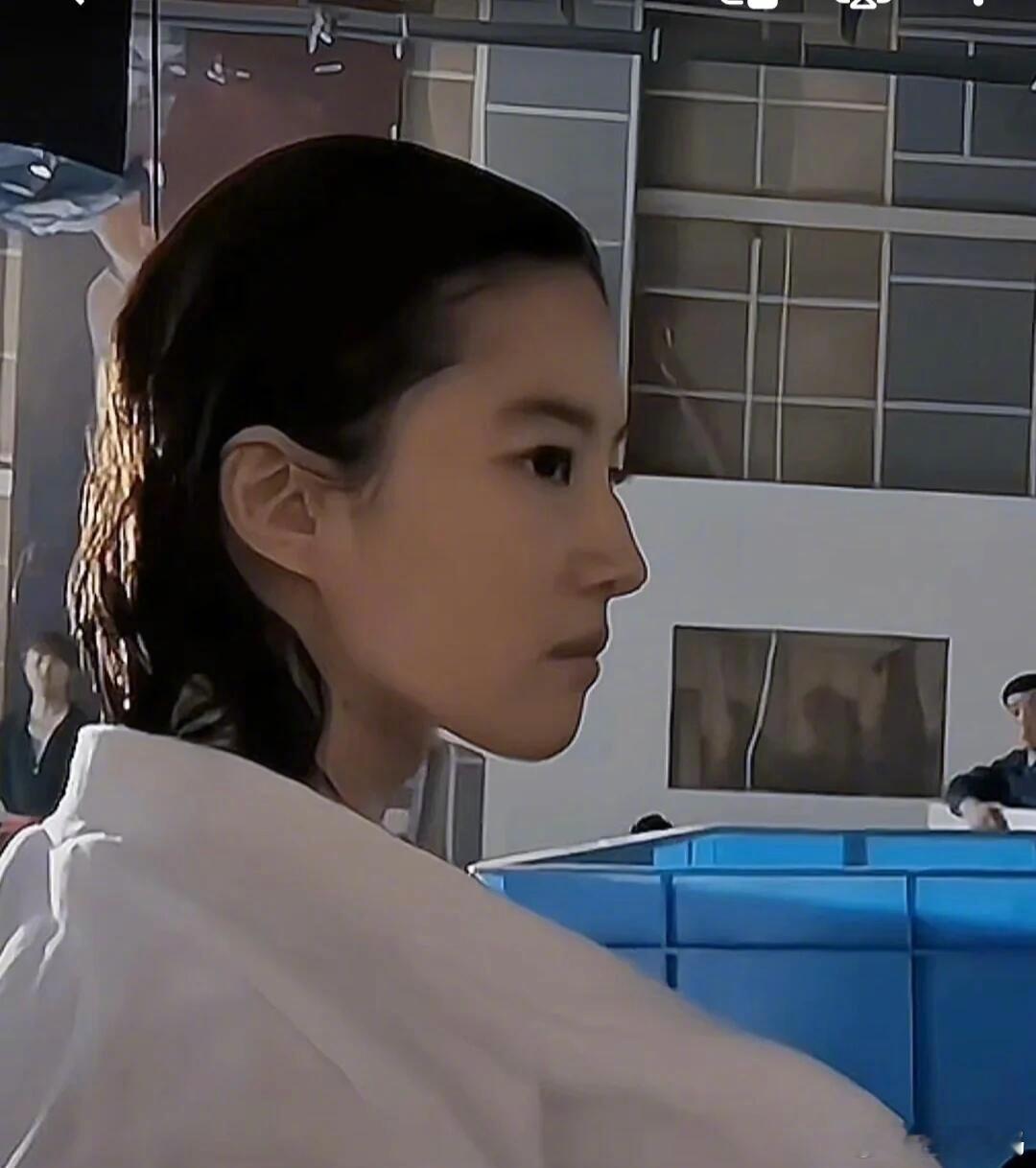 刘亦菲：颌面和骨相最严厉的母亲