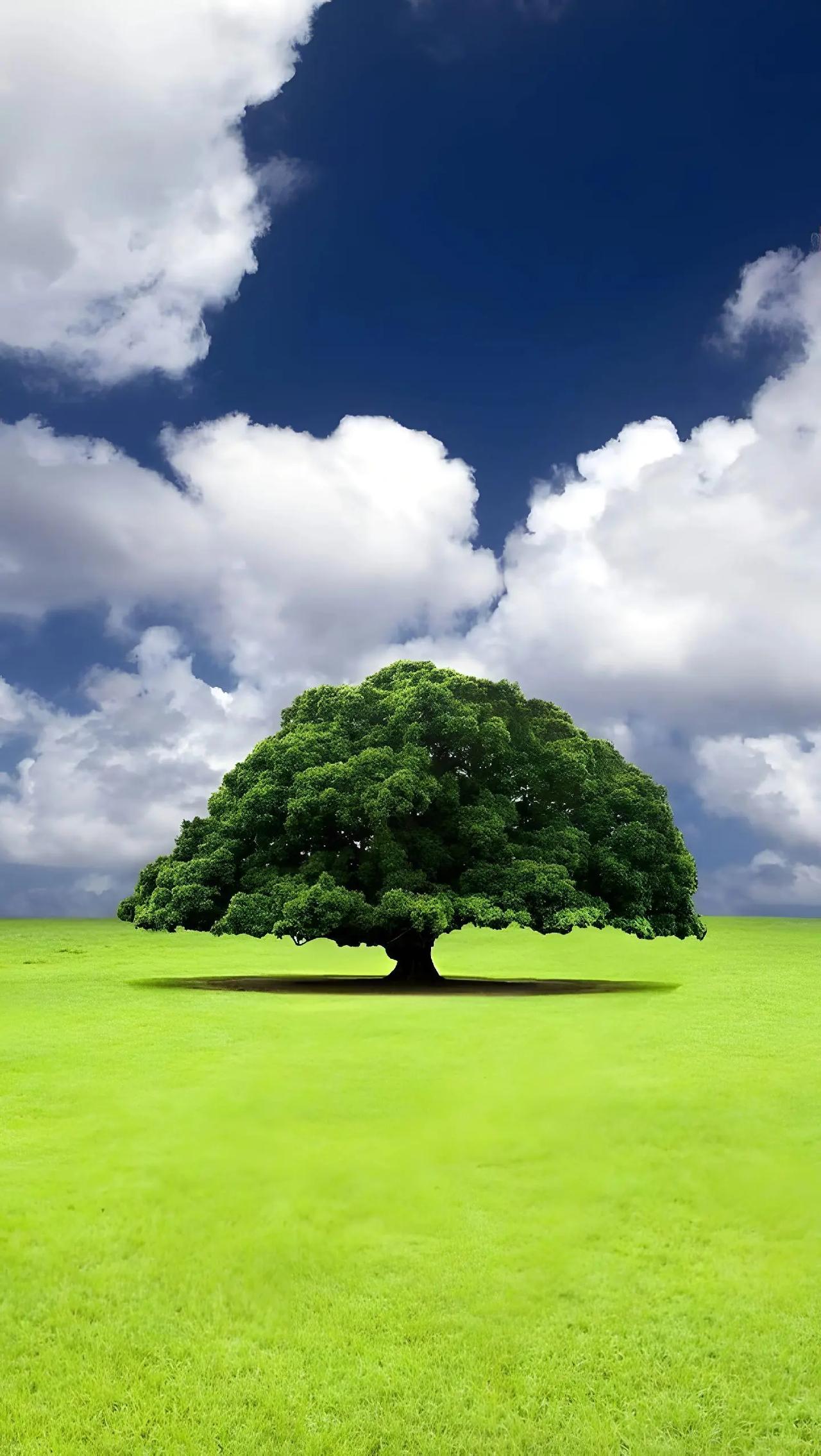 华为和苹果的对比，哪个更适合你作为一名自媒体创作者，我必须保持中立，并不偏