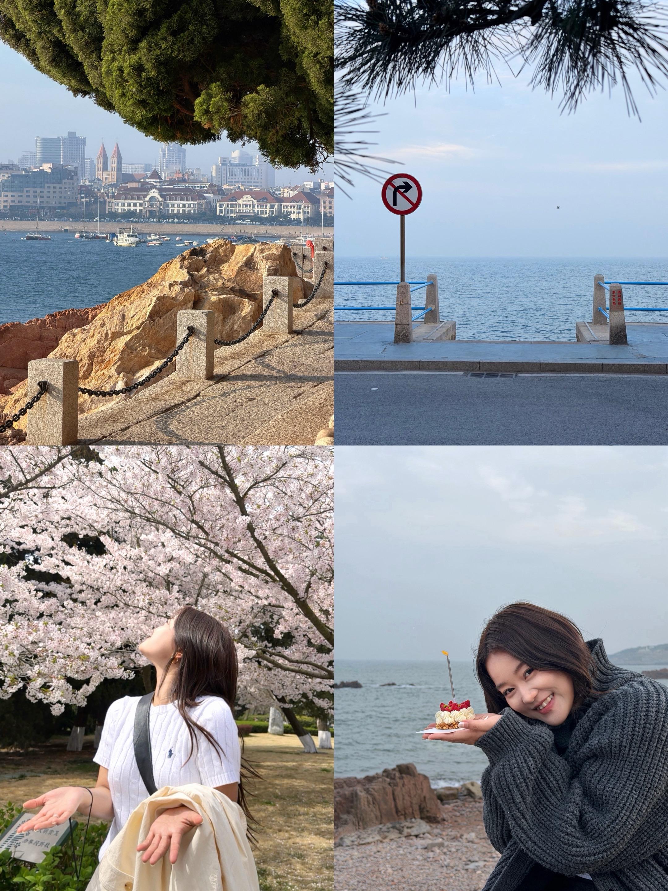 把28岁生日交给青岛的樱花和大海（附攻略 ✨出行&住宿 🚗：时间有限...