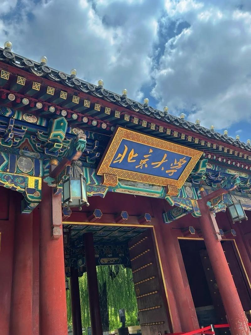 为什么全社会都默认考上985的孩子，就是了不起的娃？当然他们是人中龙凤，万里挑一